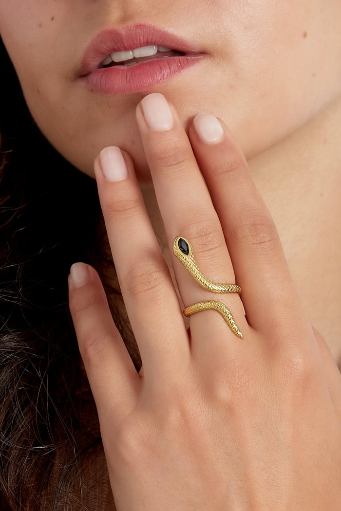 Black snake ring - Silver Color color h5Picture2